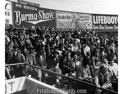 NY YANKEES 50s Bleacher Crowd  1480