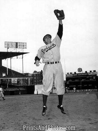 Dodgers Pee Wee Reese  3316