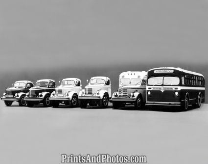 1950 Model Reo Vehicles  3840 - Prints and Photos